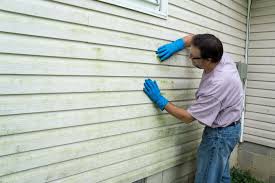 Best Historical Building Siding Restoration  in Vandercook Lake, MI